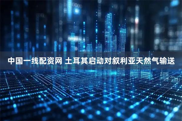 中国一线配资网 土耳其启动对叙利亚天然气输送
